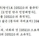 G5213 네이버블로그