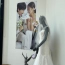 [W.9🕊️] 전주 스드메 업체 추천ㅣ전주 라망스튜디오 계약 후기 및 견적ㅣ전주 웨딩박람회 상담