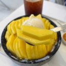 갈리단길＃ | 대전 둔산동 망고빙수 베이보 갈리단길 갈마동 신상 카페 내돈내산 후기