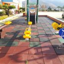 대구송원초등학교 이미지