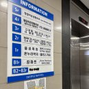청담동 헤어 메이크업 후기 스파나무 청담 본점