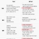 허니통신