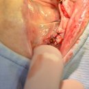 최광식치과의원 이미지