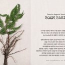 붐베이직