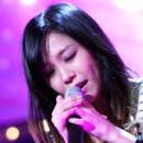 담다디