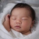 혜성산부인과병원 | <임신 일기> 24주 5일 임당검사, 정밀초음파, 입체초음파 | 혜성산부인과 | 압박스타킹 처방