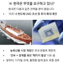 2025년 7월 25일 신문을 통해 알게 된 것들 이미지