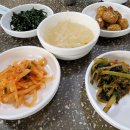 샛별쭈꾸미 이미지