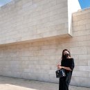 김준희 카카오 검색결과