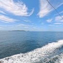 해뜨는힐링하우스 | 코타키나발루여행후기 포레하우스 마린팩 반딧불투어