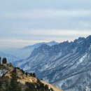 거대공인중개사사무소 이미지