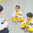 별하태권도 이미지