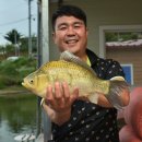 독정낚시터 이미지