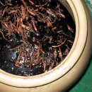 개운농장 이미지