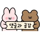 모리셔스브라운영종점 이미지