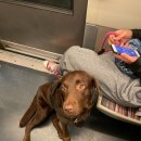 (주) 모노프리 이미지