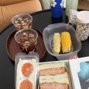 밤골뒷고기 | 속초산도 홍게가츠산도 포장 후기 속초 교동 홍게산도 맛집 추천