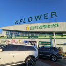 상주원예농협주유소 | 일산서구 대화동 한국화훼농협 본점 파주 화분 분갈이