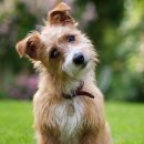 스포팅(SPORTING) 이미지