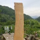 김용환농장 이미지