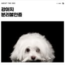 개님살롱레이크사이드 이미지