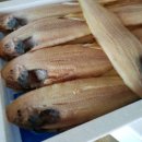 물량대지수산
