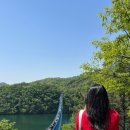 출렁다리 이팝나무길 이미지