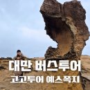 대만 여행🇹🇼 고고투어 예스폭지 버스투어 후기 / 아이랑 대만 버스투어