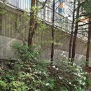 일청로 91번길 이미지