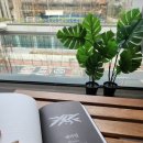 수레와바퀴 | [헤르만 헤세] 스스로 깨어라, 수레바퀴 아래서, 데미안, 싯다르타, 스타북스