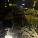 텃밭이야기 | 텃밭일기 2 상추는 효자템 인정! 방울토마토 오이 가지까지 심은 4월 후기