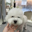 몽글댕글 이미지