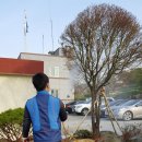 철마우체국 이미지