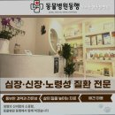 도곡동행동물병원 | 강남동물병원 도곡동행동물병원 반려동물 병원 고를 때 기준