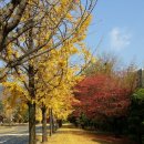 읍내7구 | 조선시대 분재기-재산상속과 혼인 이혼 제도