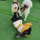 멍품유치원 이미지