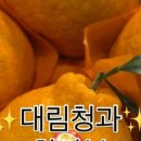 대림청과 - 서대문구 영천시장길 8 | 대림청과