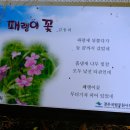 마동 탑마을 이미지