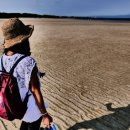 자매닭집 이미지