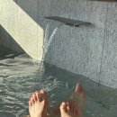 호헤 경주 | 경주 풀빌라 독채펜션 자쿠지가 있는 프라이빗 한 호헤 경주 (+ H3 후기)