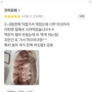 양이조아 | 강서동 횟집 추천! 조아유회 방문 후기