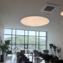 씨제이올리브영경기광주 | 경기광주국가검진 시기 확인하고 진행한 후기