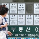 서울 부동산경제공인중개사사무소 서울신문