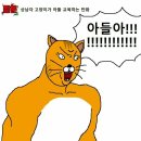 상남자 고양이가 아들 교육하는 만화 이미지