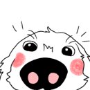 압구정웰동물병원 이미지