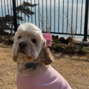 스테이 사선 이미지