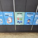 애니카랜드 신동점 이미지