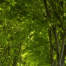 길로목장 이미지