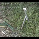 정자낚시터 이미지