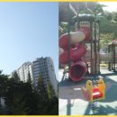 학익동 동아풍림아파트 앞 이미지